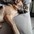 Dawn R. Fiedler's profile image