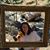 Karen Cherman's profile image