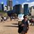 Clifton Dias's profile image