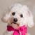 Willow Newton's profile image