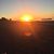 Judy Witherspoon's profile image