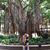 Janice Kerley's profile image