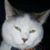 Kathy Davidson's profile image