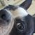 Nancy Gordon Lazenby's profile image
