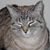 Mardi LaForce's profile image
