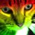 Amber Linn's profile image