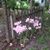 Christy Talley's profile image
