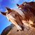 Patricia Higginbotham Grado's profile image