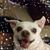 Billie Stinson's profile image