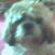 Georgette Kopac's profile image