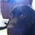 Trudy Thompson's profile image