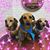 Lyndsey Kathryn Brown's profile image