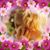Dyann Colvin's profile image