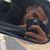 Thiago Campos's profile image