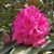 Barbara Bearden Stover's profile image