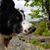 Carol Lowe's profile image