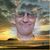 Bradley Peterson's profile image