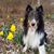 Terri Carne Saucedo's profile image
