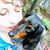 Michelle Franck's profile image