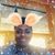 Doretha Zolicoffer's profile image