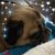 Kathy Kline's profile image