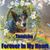 Judy Cowden's profile image