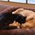 Tracy J Cassidy's profile image