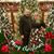 Tatia Hinkle's profile image