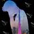 Nikolas Ciubotaru's profile image