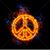 Joe Williams's profile image