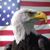 Wayne Bebler's profile image