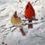 Cathie Manning Van Giesen's profile image
