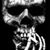 Kevin Dieter's profile image
