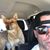 Brian Rasberry's profile image