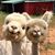 Carolyn Berger Sloan's profile image