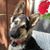 Debra Enke's profile image