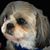 Jim Biddle's profile image
