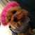 Lisa Erickson's profile image