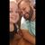 Alyssa M. Tripp's profile image