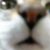 Glenn Quinn's profile image