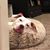 Todd Huley's profile image