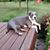 Carol Davis's profile image
