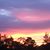 Darlene Chapmon's profile image