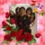 Teri Borrego's profile image