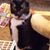 Sarah Kirton's profile image