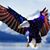 Ray Vesey's profile image