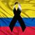 Erika Garcia Reyes's profile image