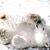 Debbi Shetina Stubler's profile image