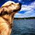 Carrie Munsey's profile image