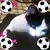 Baruch D Jesus's profile image